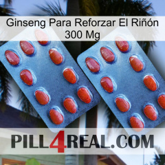 Ginseng Para Reforzar El Riñón 300 Mg 05